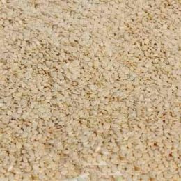 Seeds Wht Hlld Sesame Seed (1x25LB )