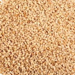 Seeds Nat Brown Sesame Seed (1x25LB )