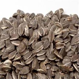 Seeds In Shell Sunflowers (1x25LB )